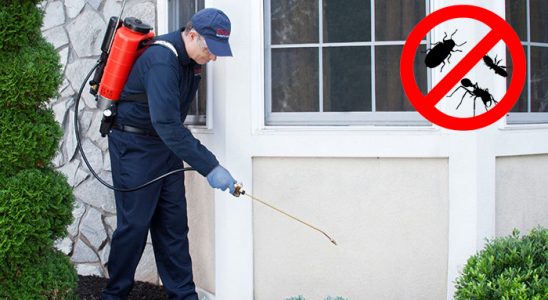 Karacabey Kemirgen İlaçlama böcek ilaçlama ve haşere kontrolü — ilaclama-tr.com